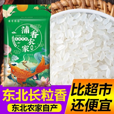 东北大米当季新米蒲香农家长粒香米10斤包邮一件代发厂家批发图2