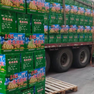 大量批发供应商超手捏即开原味原色 新疆特产薄皮185纸皮生 核桃图4