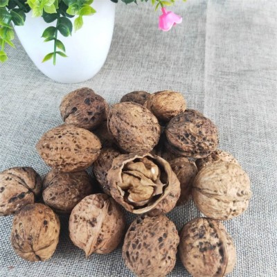 云南薄壳 山核桃散装薄皮新货云南丑核桃麻皮干核桃500克图2