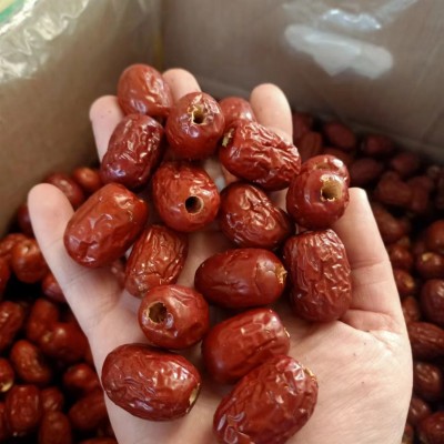 去核灰枣一级 端午节粽子枣新疆红枣零食枣开袋即食枣打豆浆红枣图2