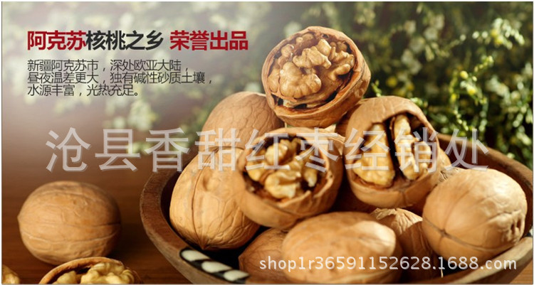 纸皮核桃1_副本
