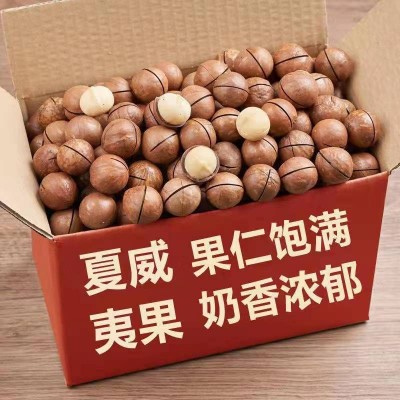 夏威夷果100g大颗粒原味奶香味坚果干货零食批发厂家直销