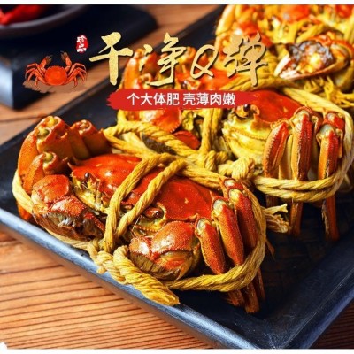 花雕熟醉蟹即食大闸蟹熟食大螃蟹醉蟹熟毛蟹图2