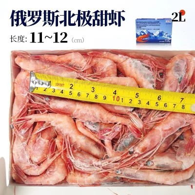 进口俄罗斯冰山牌甜虾LA北极甜虾 2L甜虾日式料理刺身1kg/盒图2