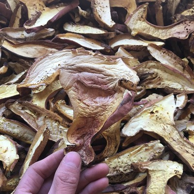 【菌窝子】云南特产美味红葱菌食用野生干货干制品厂家批发零售图4