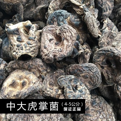 【菌窝子】云南土特产品野生黑虎掌菌干货美味食用菌干货直销现货图4