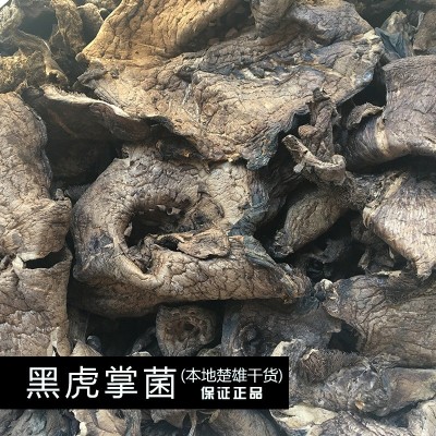 【菌窝子】云南土特产品野生黑虎掌菌干货美味食用菌干货直销现货图2