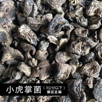 【菌窝子】云南土特产品野生黑虎掌菌干货美味食用菌干货直销现货图5