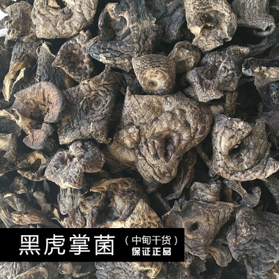 【菌窝子】云南土特产品野生黑虎掌菌干货美味食用菌干货直销现货图3