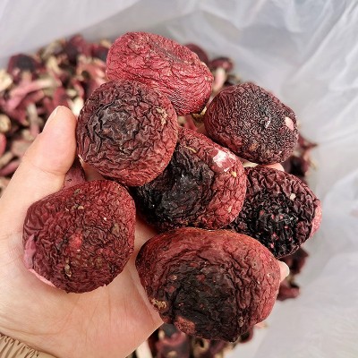 云南特产大红菌干货散装 香甜红面菇 厂家批发蓝底正红菇图3