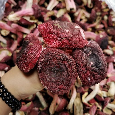 云南特产大红菌干货散装 香甜红面菇 厂家批发蓝底正红菇图2