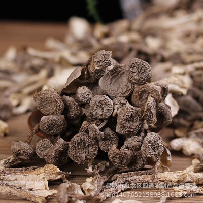云南特产鹿茸菇干货厂家批发鹿茸菌干货酒店火锅店食材 产地货源图2