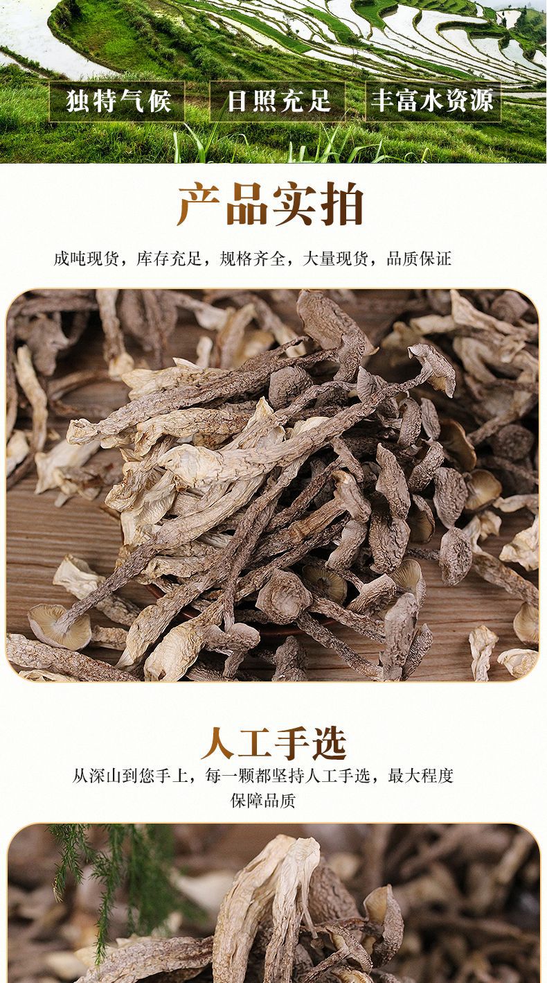 鹿茸菇_06