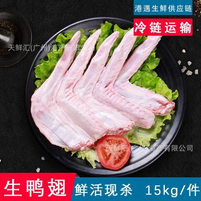新鲜生鸭翅 鸭2节翅 鸭亦 鸭副 鸭类 鸭中翅 鸭中亦 鸭尖卤水食材