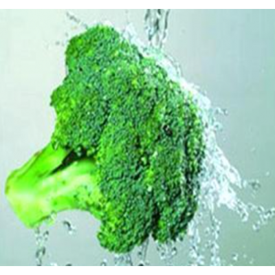 无公害保鲜西兰花及各种新鲜水果蔬菜图5
