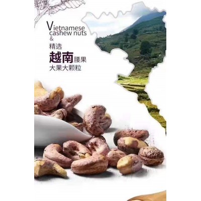 越南新货炭烧盐焗腰果10kg A180桶装多种型号虎皮坚果原料厂家 批图5