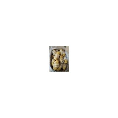 山东土豆 大量出售优质 荷兰土豆图5