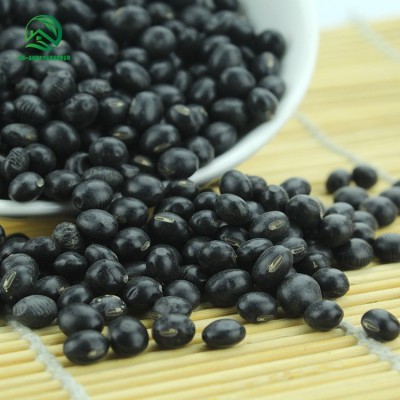 豆制品原料黑豆330g杂粮黑豆批发图2