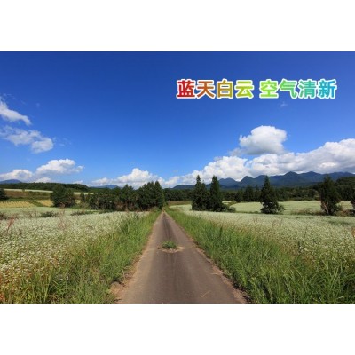 纯荞麦粉25kg面粉五谷杂粮粉乔麦荞面粉可代工2.5kg图4