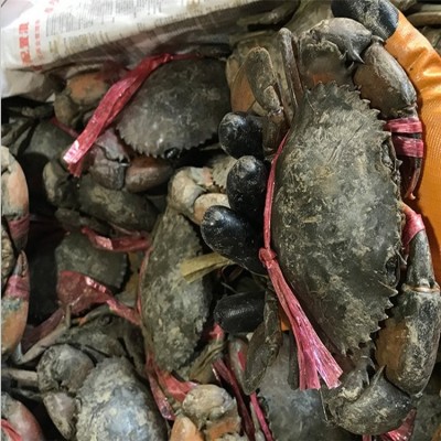 缅甸蟹 孟加拉蟹 青蟹 螃蟹水产品销售 亲朋送礼图4