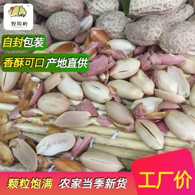 野埠岭山东农家现炒花生原味带壳现炒现发 农家铁锅炒熟花生500g图1