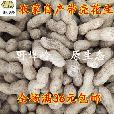 带壳生花生新货新鲜晒干农家自种自留种可做种子大粒粉红皮花生图1