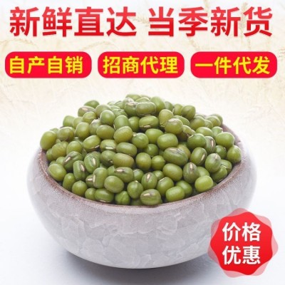 东北有机绿豆袋装 五谷杂粮现磨烘焙熟绿豆 五谷豆浆原料散装批发图4