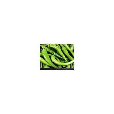 出口绿色放心辣椒大量上市 无公害蔬菜 绿色蔬菜 有机蔬菜辣椒图3