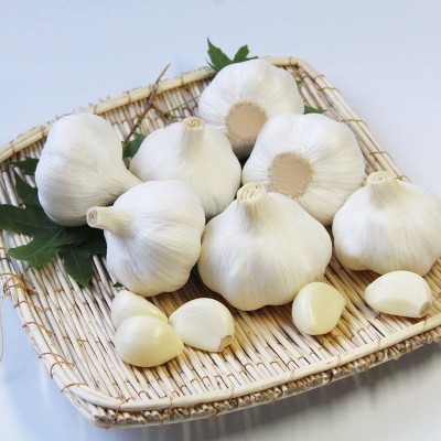源头直供精选白皮大蒜 出口图1