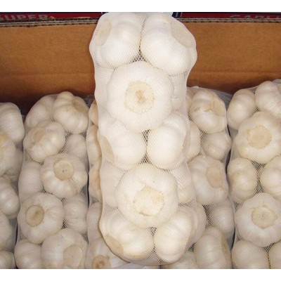 源头直供精选白皮大蒜 出口图3
