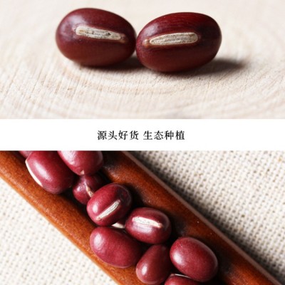 源头直销精选珍珠粒红小豆优质红小豆出口图2