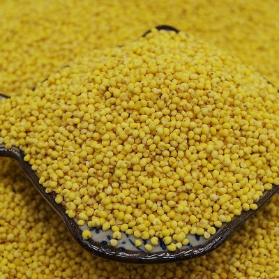 农家特产糯小米大黄米粘小米能熬出米油500g 量大优惠图2
