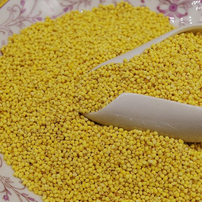 农家特产糯小米大黄米粘小米能熬出米油500g 量大优惠
