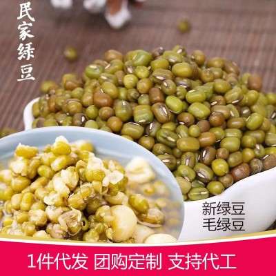源头厂家批发绿豆 杂粮批发 真空500g 食品加工支持代发