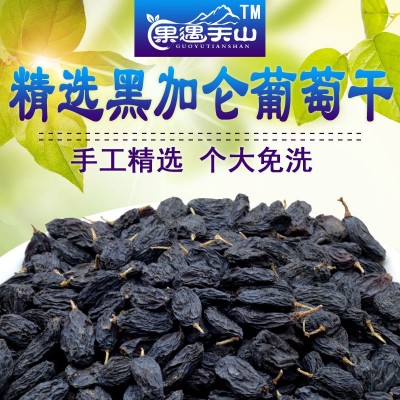 新疆特产吐鲁番黑加仑葡萄干250克装办公室零食 葡萄干一件代发