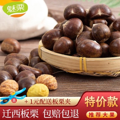 魅栗 迁西河北新鲜迁西板栗生新鲜 栗子 唐山 3113生油栗 批发