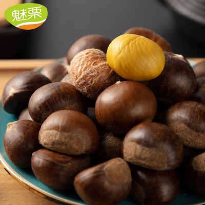 第一森林 迁西板栗生新鲜前期3113 新鲜栗子批发 次日达 包退包换