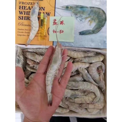 冷冻海鲜盐冻虾白虾厄瓜多尔虾青虾大小齐全 比你想的更新鲜图2