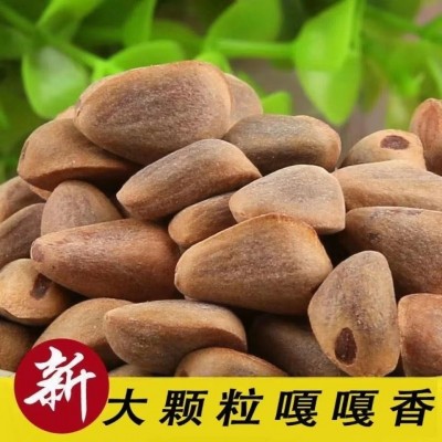 鲜松子 东北鲜货未开口生松子孕妇解馋追剧坚果小零食产地直供图3