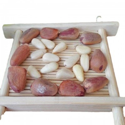 鲜松子 东北鲜货未开口生松子孕妇解馋追剧坚果小零食产地直供图5