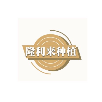 农家自产大黄豆 大黄豆打豆浆原料 农家食用黄豆图4