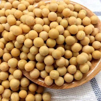 供应 东北优质大豆图2