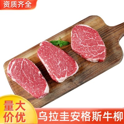 乌拉圭安格斯牛柳菲力牛排牛里脊原切牛肉儿童雪花西餐牛扒批发