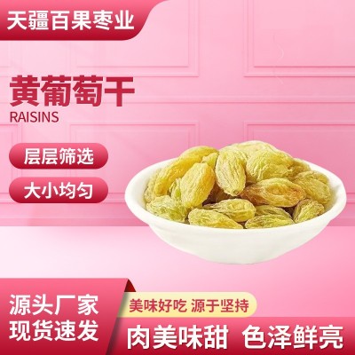 新疆特产黄葡萄干吐鲁番葡萄干黄葡萄干整箱批发20斤免洗葡萄干