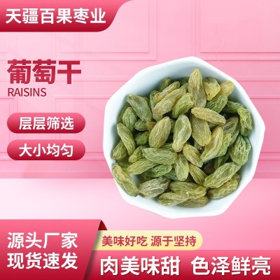 新疆特产葡萄干吐鲁番葡萄干绿提葡萄干整箱批发20斤免洗葡萄干