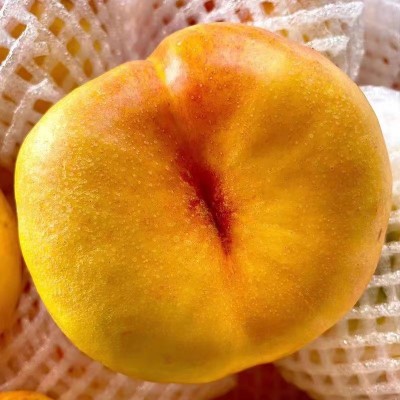 陕西黄金油蟠桃新鲜应季水果黄蟠桃油桃非水蜜桃子批发一件代发图3