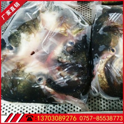 常年供应花鲢鱼大鱼头0.5-2斤冷链运输新鲜保障清蒸火锅食材图3