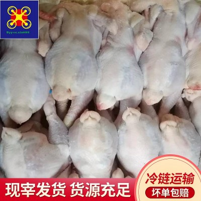 供应养殖45天三黄鸡净膛1.6-3.6斤鸡肉蒸烧焖都适宜冷链运营图5