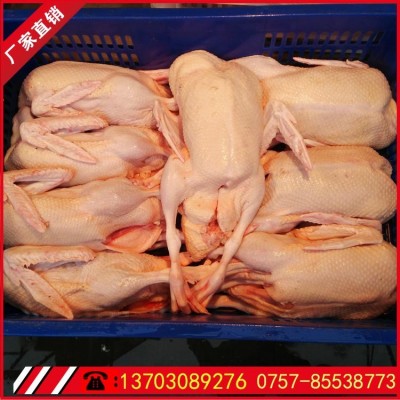 常年供应养殖90天红头番鸭净膛5-8斤鸭肉可制酸辣啤酒鸭图2