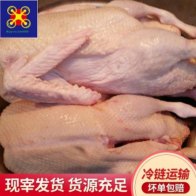 常年供应养殖90天红头番鸭净膛5-8斤鸭肉可制酸辣啤酒鸭
